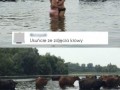 Usuńcie z tego zdjęcia krowy
