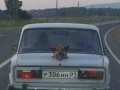 R2pieseł