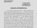 Interwencja