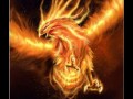 Jestem jak fenix