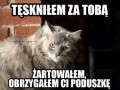 Tęskniłem