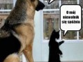 Niewolnik