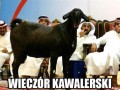 Muzułmanie też mają swój