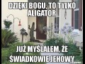 Aligatorek 3