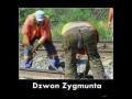 Dzwon zygmunta