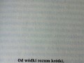 Od wódki rozum krótki