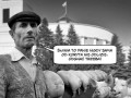 Sposób na świnie
