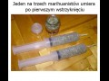 Uratuj komuś życie wydaj go policji