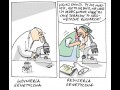 Reżyseria genetyczna