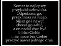 Najlepszy przyjaciel człowieka