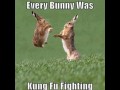 Kung fu fighting