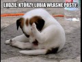 Ludzie którzy lubią własne posty