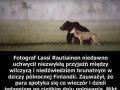 Wspaniała przyjaźń