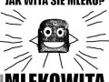 Jak wita sie mleko