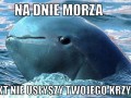 Na dnie morza