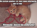 Nowy koleś z it