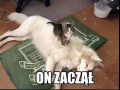 To on zaczął
