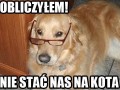 Obliczyłem