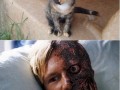 My cat