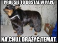Na chuj drążyć temat