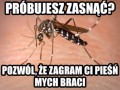 Komarykutasiarnia
