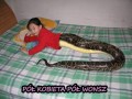 Pół kobieta pół wonsz