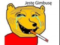 Jestę gimbusę