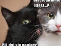 Daj się ponieść