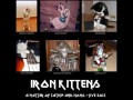 Iron kittens