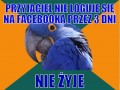 Bo się nie loguje