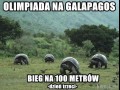 Olimpiada na galapagos