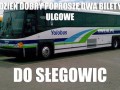 Yolobus