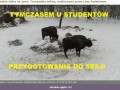Co tam u studentów