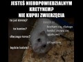 Nie kupuj zwierzęcia jak jesteś kretynem