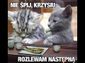 Katałki