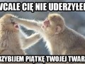 Ja wcale cię nie uderzyłem