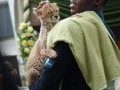 Usain bolt i jego sparing partner