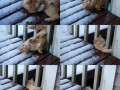Otfail1