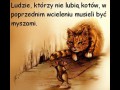 Kto nie lubi kotów