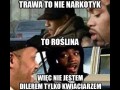 Trawa to nie narkotyk