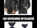 Kurteczki
