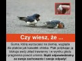 Bądź odpowiedzialny