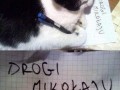 Drogi mikolaju