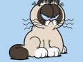 Grumpfield