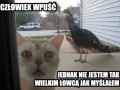 Drapieżny łowca