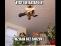Katapulta
