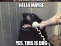 Call me maybe