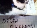 List do mikołaja