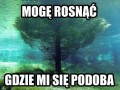 Skocz mi