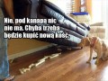 Pod kanapą nic